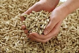 Feed Bags 2