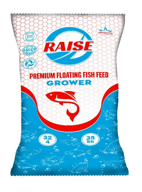 RAISE