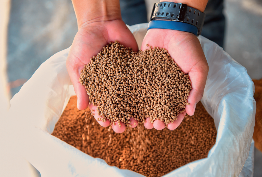Feed Bags 3