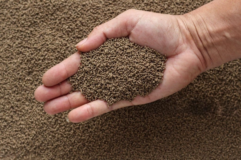 Feed Bags 2